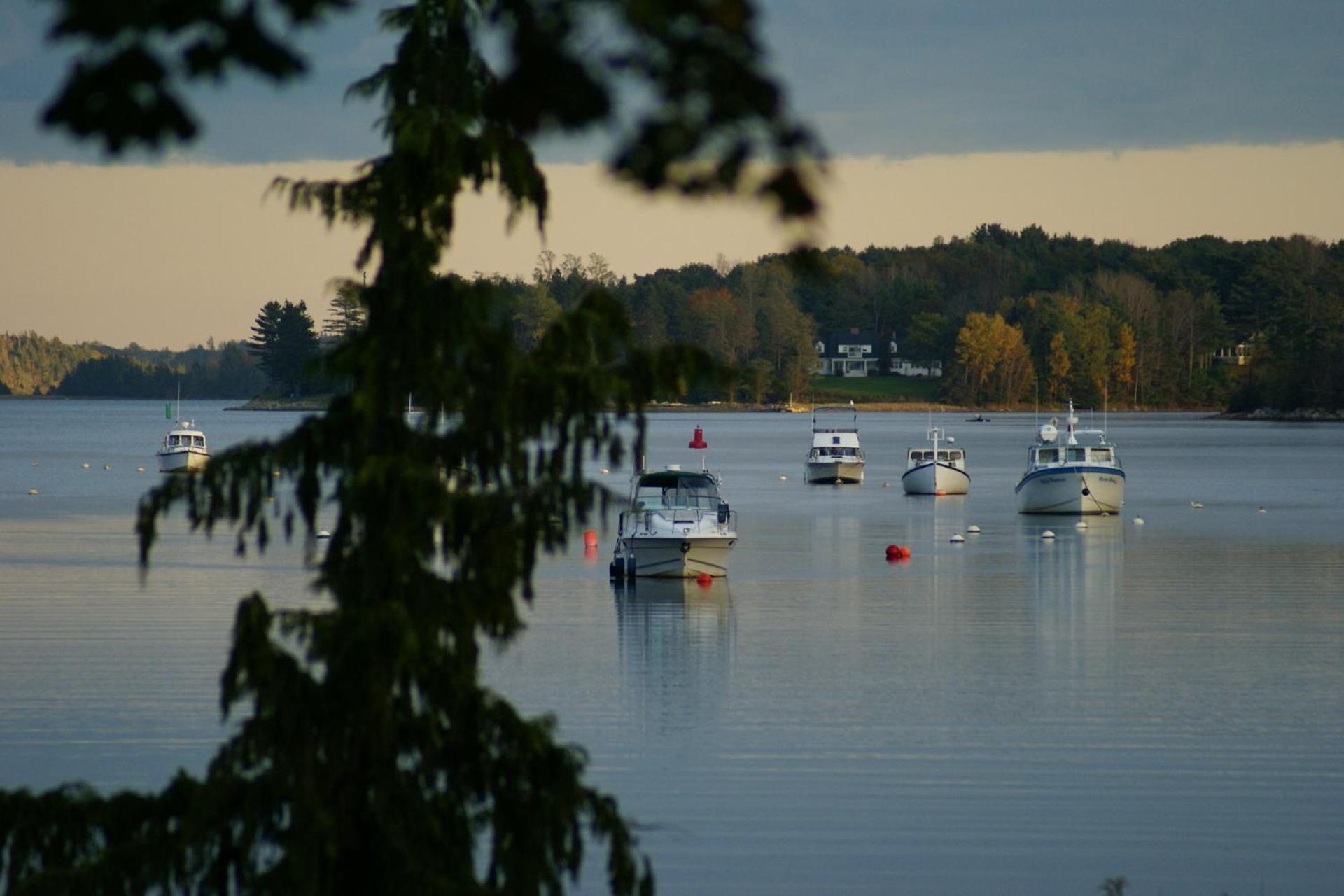 Fisherman'S Daughter B&B Mahone Bay Exteriér fotografie